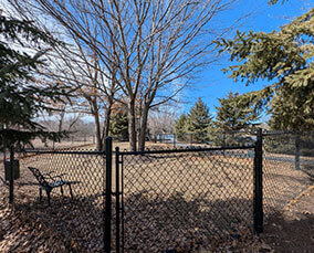 dog park