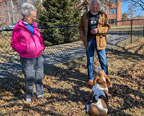 Athertons and their dog in the park