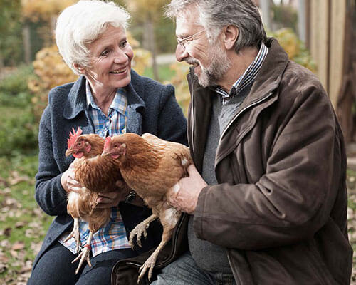 Two adults holding chickens