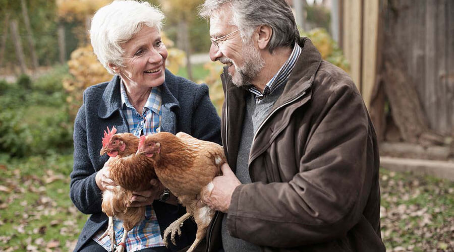 Two adults holding chickens